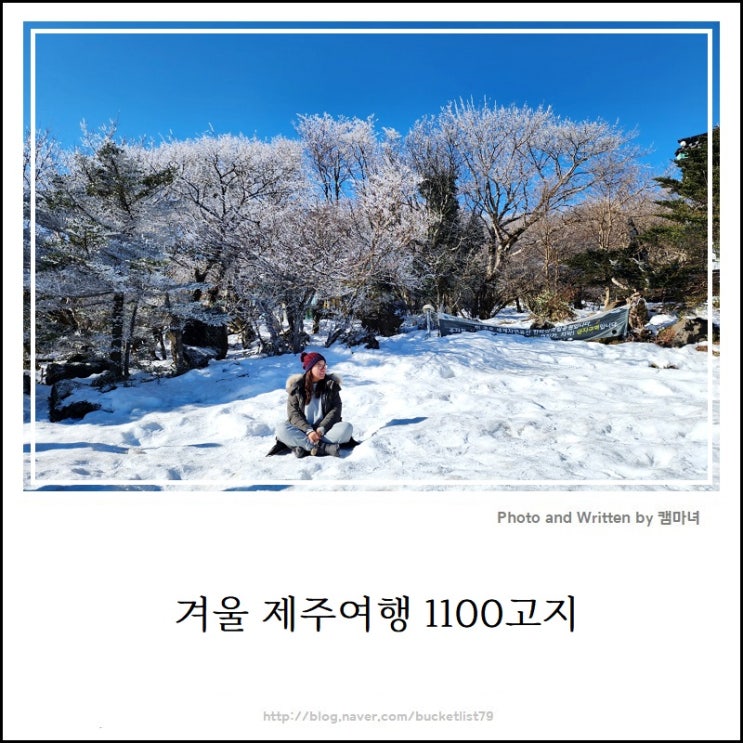 [한라산 1100고지] 제주 겨울여행 추천명소, 1100고지...