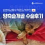 💌<11> 푸들 양측슬개골탈구 1기 / 1.5기 수술 후기