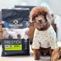 노령견을 위한 프랑스 최상급 사료, 프로뉴트리션 프레스티지 강아지 사료