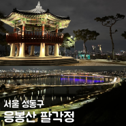서울 야경 명소 응봉산 팔각정 포토존 데이트