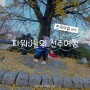 파워 J들의 서울과 창원에서 만나 1박 2일 전주 여행 ㅣ feat. 첫날 만보기 2만 걸음