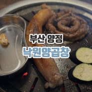 [부산/연제] 낙원양곱창 | 부산시청 맛집 양정 맛집