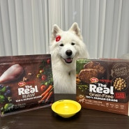 [상품협찬] 곰이의 하림펫푸드 더리얼 사료 백견백일 생생체험단 4차 후기