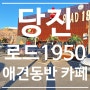 당진 로드 1950 애견 동반 카페 주차정보