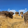 [예류지질공원] [야류지질공원] [ 野柳地質公園] [Yehliu geopark] Taipei