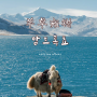 티베트 여행 티벳 패키지 여행 그림 같은 암드록쵸(羊卓雍错) 호수
