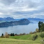 유럽 10박 12일 신혼여행 5일차 스위스 루체른 호수 유람선 리기산 정상