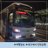 대구에서 인천공항 버스 동부하나 리무진 운행정보 후기