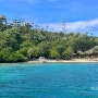 필리핀 자유여행, 민도르섬 호핑투어 비용 및 하트비치 거닐기