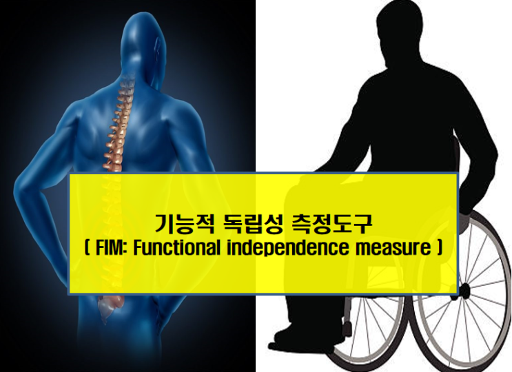 기능적 독립성 측정도구( FIM: Functional independence measure ) : 네이버 블로그