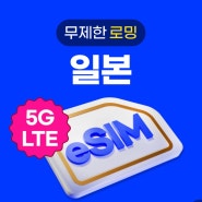 일본 이심 eSIM 로밍도깨비 내돈내산 사용후기/설치방법