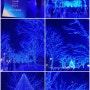 [일본여행] 일본 도쿄 일루미네이션 시부야 요요기공원 파란색 ㅡ 20231219 화요일