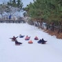 논산 아이와 함께 갈만한 곳 덕바위 마을에서 눈썰매, 빙어낚시, 알밤굽기, 깡통열차 타고옴(추억박제)