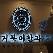 [제주] 올레시장 거북이한과 평일 웨이팅 가격 후기
