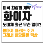 글로벌 빅파마 화이자 Pfizer : 급락하는 주가와 세전 6%의 배당