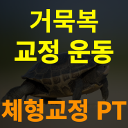 목동PT 거북목 교정운동 체형교정