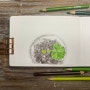 제라늄 그리기 색연필그림 취미생활