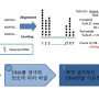 니프티 NIPT (태아 DNA 선별검사) 원리분석 - NGS (Next Generation Sequencing)