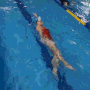 [181] 수영일기 - 슬픈 배영주간