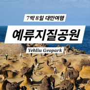 [아시아/대만] 예류지질공원 / 대만여행 타이베이여행 타이베이근교여행