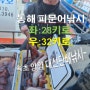 동해 바다낚시 28키로,32키로 문어낚시 버스출조, 양양 대선단배낚시