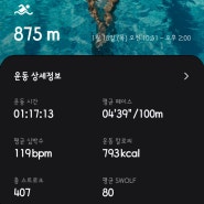 초보 수영일기 : 평영 웨이브와 접영 발차기