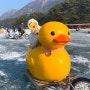 [포천] 산정호수 썰매축제 : 귀여운 오리썰매+러버덕기차 타고 오기