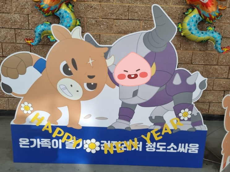 청도 소싸움경기장