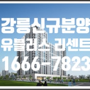 강릉 신규분양 아파트 유블레스 리센트 안내
