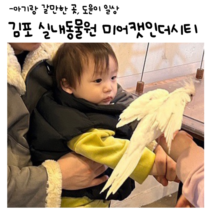 [김포/구래동]김포 아기랑 갈만한곳 미어캣인더시티...