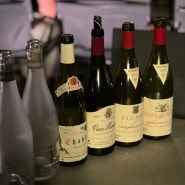 [프랑스 와인 정복기] 프랑스 와이너리 투어_먹고 마시고 무한반복2편(상파뉴_부르고뉴).zip