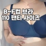 여성 큰컵브라 빅사이즈 팬티 브랜드 에이세 착용 후기