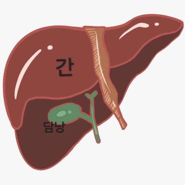 간염hepatitis 종류,A~E형 간염바이러스 : 네이버 블로그