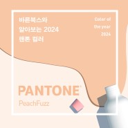 바른북스와 함께 알아보는 2024 팬톤 컬러(#PeachFuzz #Pantone)