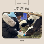 고창상하목장 상하농원 동물체험 후기