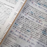 일본어 공부 시켜주는 디노가 기특하다