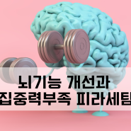 뇌기능 개선과 집중력 부족에 피라세탐 효과와 복용법