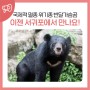국제적 멸종 위기종 반달가슴곰, 이젠 서귀포시에서 만나요!
