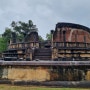 [99번째 나라] 스리랑카 - 폴로나루와 (2023.12.27-28) - 싱할라 왕국의 잊혀진 고대 수도