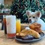 [경기/가평] 단짠단짠 맛있는 빵들과 강아지 수제쿠키가 있는 가평 애견동반카페 나무아래오후N