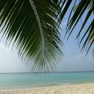 몰디브 로컬섬 디구라아일랜드 ‘White Sand Dhigurah’