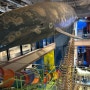 울산 장생포 고래 박물관에 다녀왔어요 / 1탄 "고래 박물관"