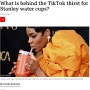 [English News] 6. What is behind the TikTok thirst for stanley water cups?