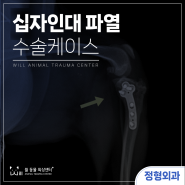 광주주월동동물병원 강아지 십자인대파열 원인과 증상 수술 후기(TPLO)