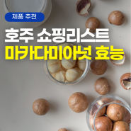 호주 쇼핑리스트 마카다미아넛 효능 & 레시피
