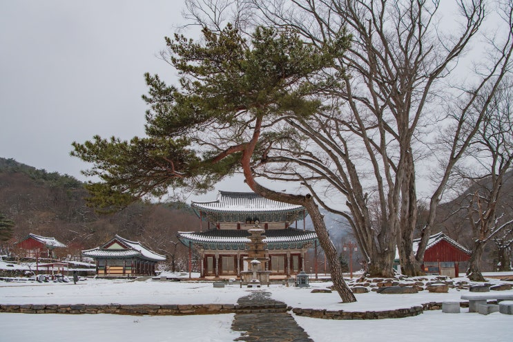 부여 가볼만 한곳, 천년고찰 무량사 : 네이버 블로그