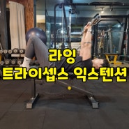 라잉 트라이셉스 익스텐션 이것 모르면 하지 마세요.