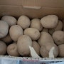농라 원주 선일팜에서 구매한 감자 맛있어요