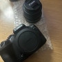 왕초보 블로그용 카메라 캐논 EOS R10 구매기