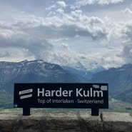 스위스_인터라켄 여행 8. Vip pass로 다녀온 인터라켄 하더클룸 전망대